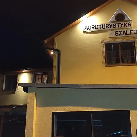 Szalejow 117 Szalejow Gorny