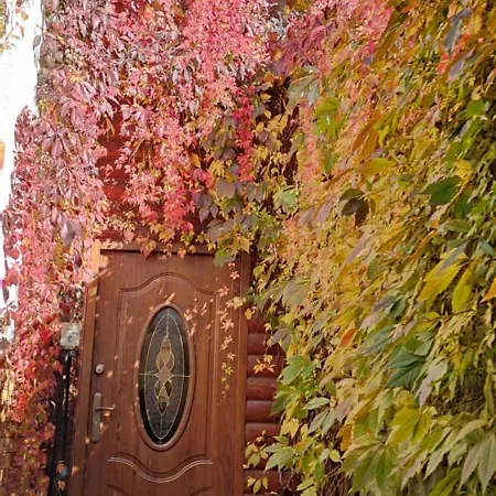 בית חווה Szalejow 117 *