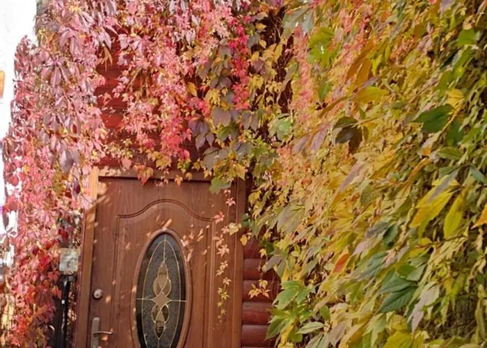 Feriegård Szalejow 117 *